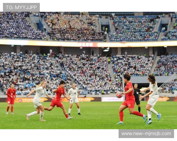 2026年世界杯举办国家的安全保障措施、赛事组织经验与应急管理策略