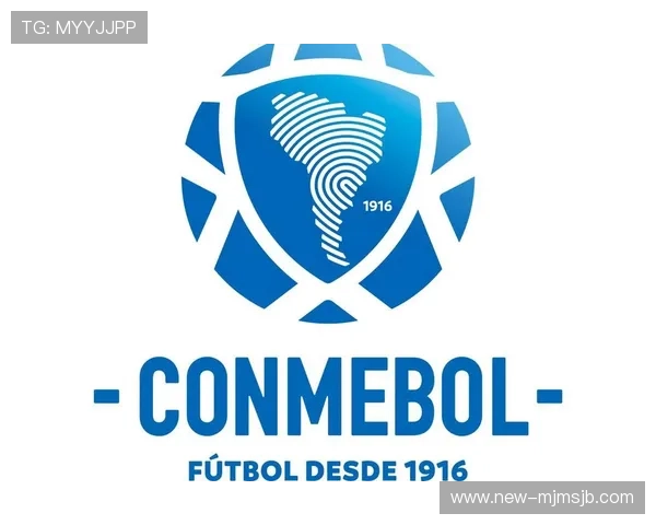 2026年世界杯南美区预选赛积分榜最新排名及晋级形势全面分析