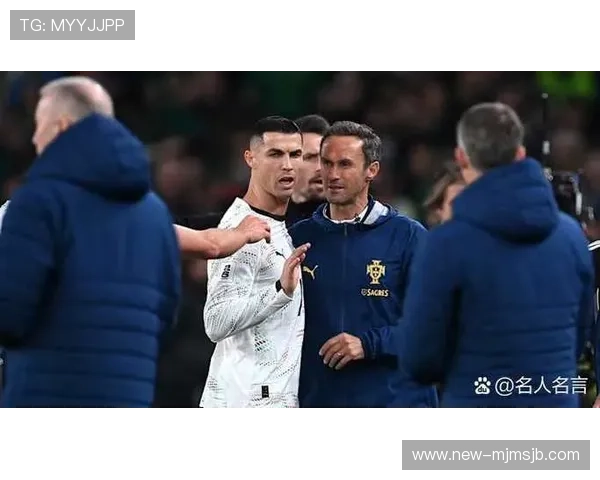 2026年欧洲区世界杯预选赛积分榜最新排名，葡萄牙队的竞争优势与挑战