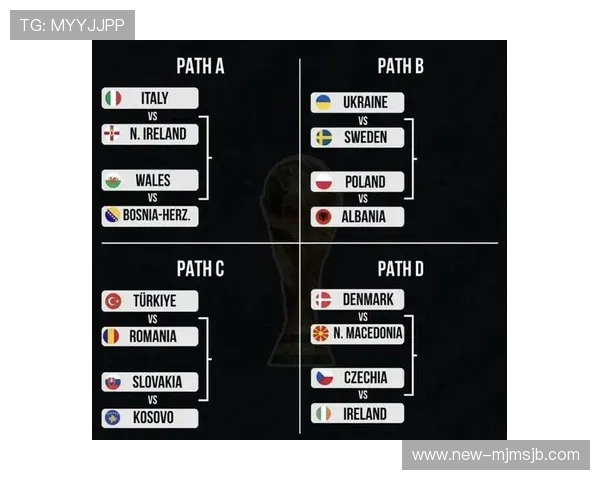 欧洲区世界杯预选赛积分榜最新排名公布分析各队晋级概率与潜在冲突