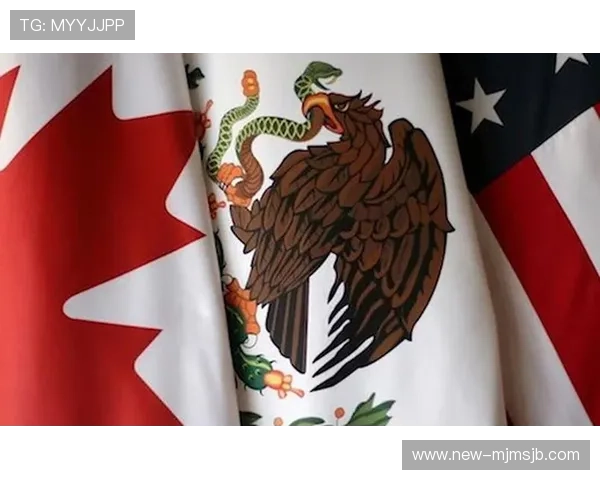 美墨加世界杯亚洲区预选赛观赛指南：最佳观看渠道与直播平台推荐